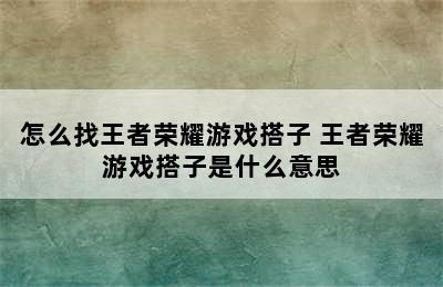 怎么找王者荣耀游戏搭子 王者荣耀游戏搭子是什么意思